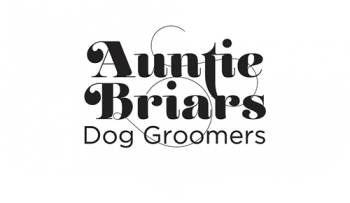 Auntie Briars World